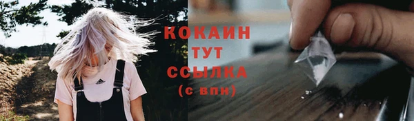 гидра Сосновка