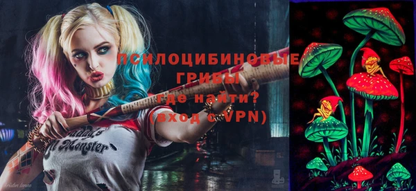 молекула духа Дмитровск