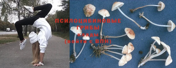 кристаллы Дмитров