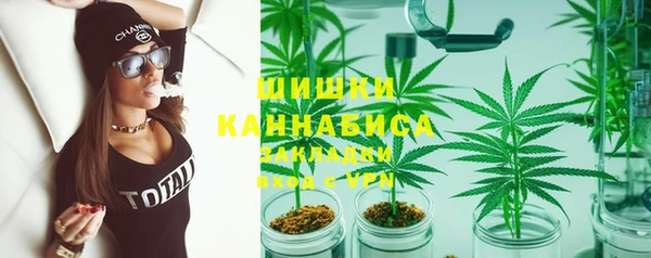 молекула духа Дмитровск