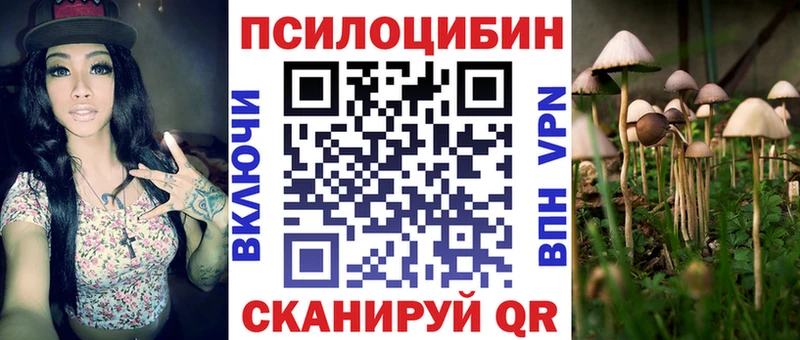 Псилоцибиновые грибы Cubensis  даркнет Telegram  Сосенский 