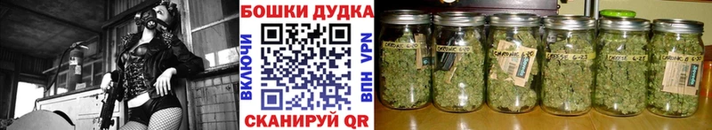 блэк спрут онион  Сосенский  Конопля White Widow  купить  
